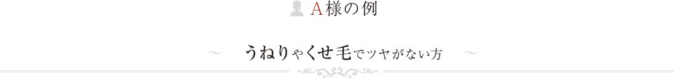 A様の例うねりやくせ毛でツヤがない方